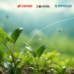 La Transición Energética: Oportunidad para el Medio Rural